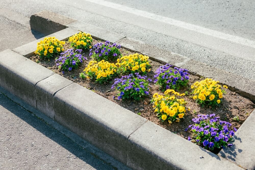 地域をきれいに